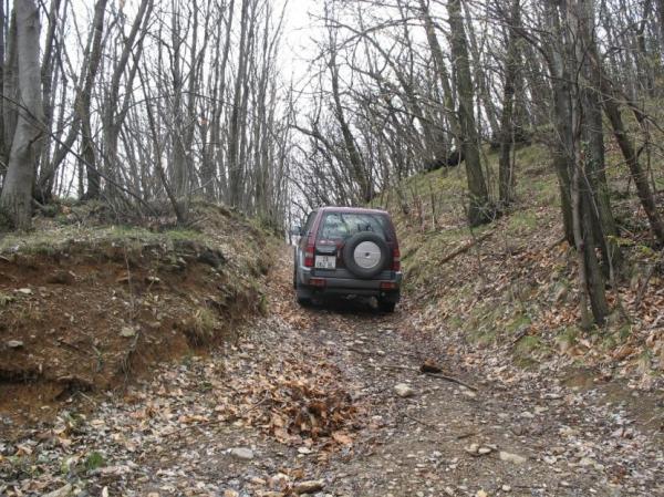 Giro Nei Boschi Del Pinerolese