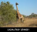 Sudafrica
