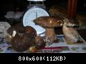 Funghi 2