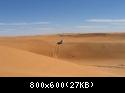 Img 0099