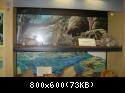 Visita Al Museo Di Paleontologia Di Scontrone