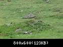 Alta Quota 4x4 2010